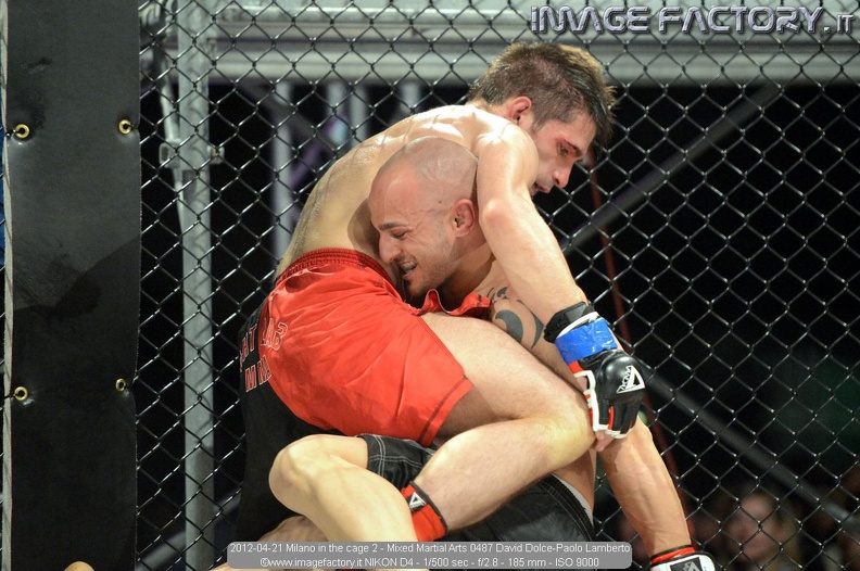 2012-04-21 Milano in the cage 2 - Mixed Martial Arts 0487 David Dolce-Paolo Lamberto.jpg